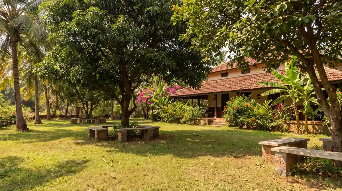 Lawn and trees — luxury farm house near Amaravati, farmhouse in Amaravati